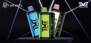 Maximize the Life of Your TMT Disposable Vape: Essential Maintenance Tips and Tricks